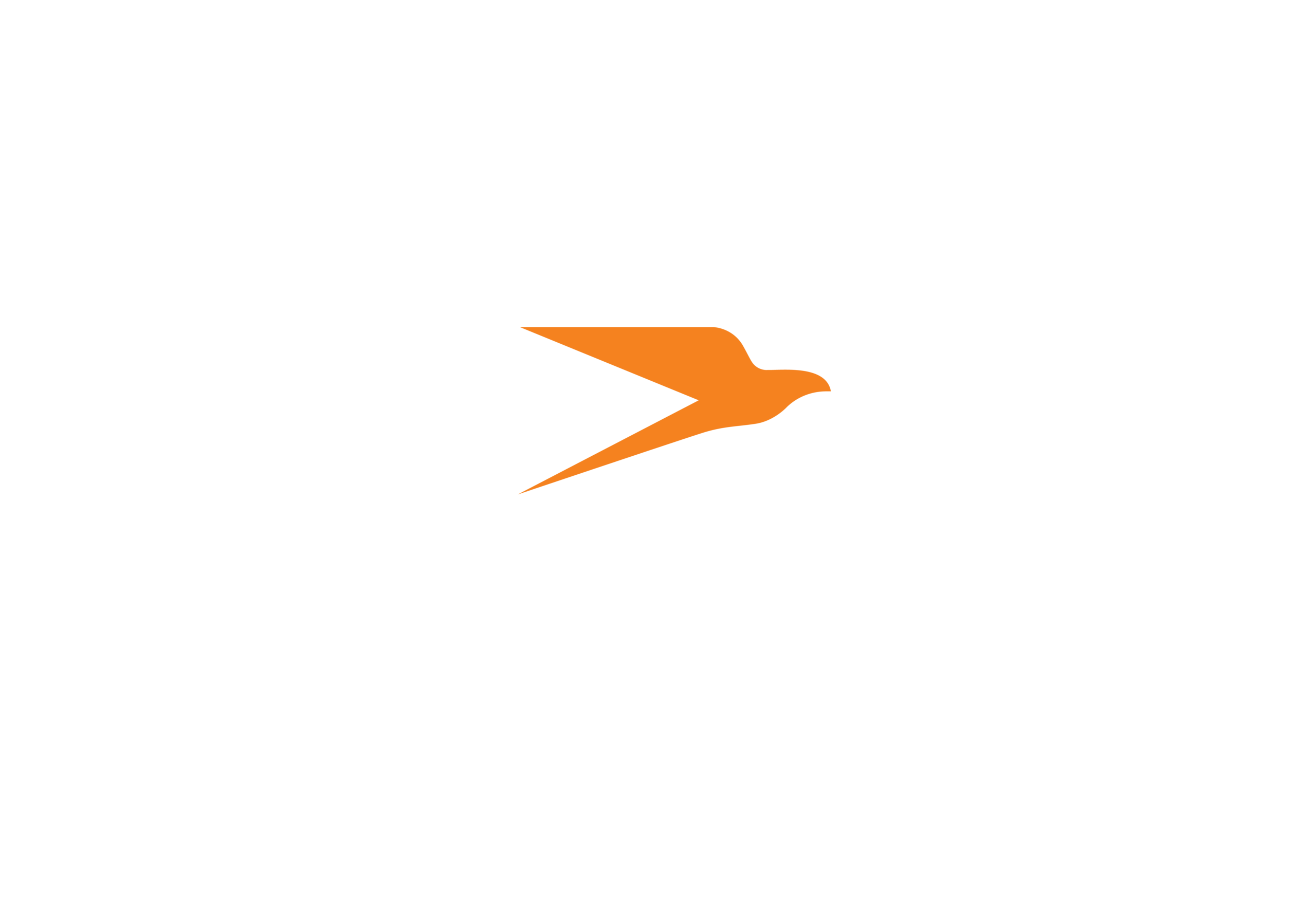 Rankbird Logo-10 (2)